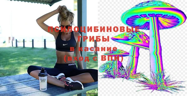 прущая мука Елизово