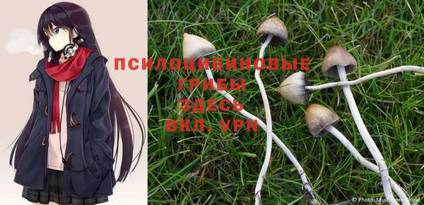 прущая мука Елизово