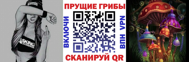 Галлюциногенные грибы прущие грибы  Купить закладки  Называевск 