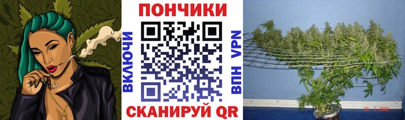 Шишки марихуана семена Купить Называевск